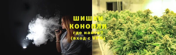 гидропоника Богородск