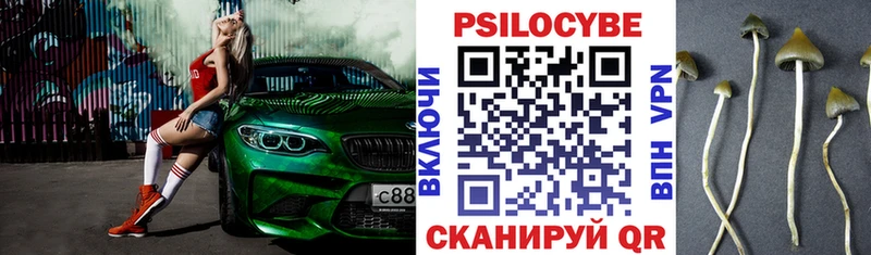 купить наркоту  Наро-Фоминск  Псилоцибиновые грибы Psilocybine cubensis 
